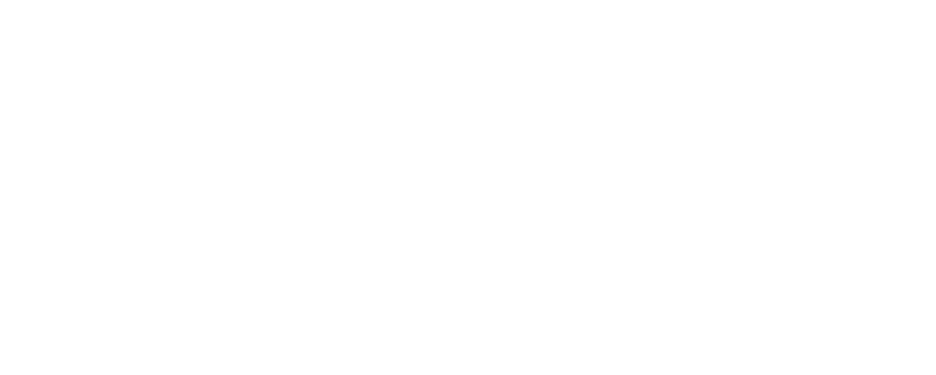 MICHELIN 2024